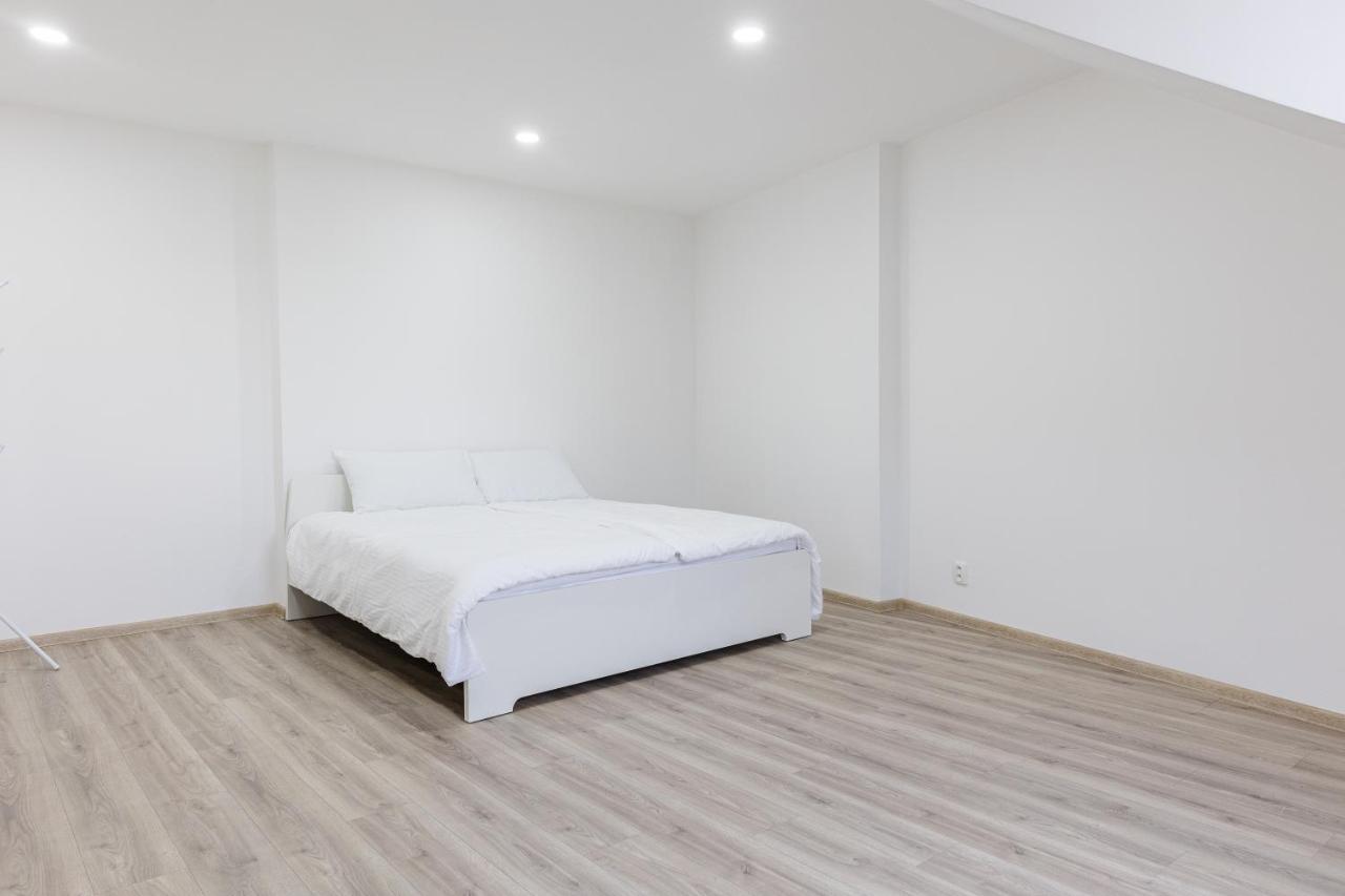 Apartment Th 카를로비바리 외부 사진