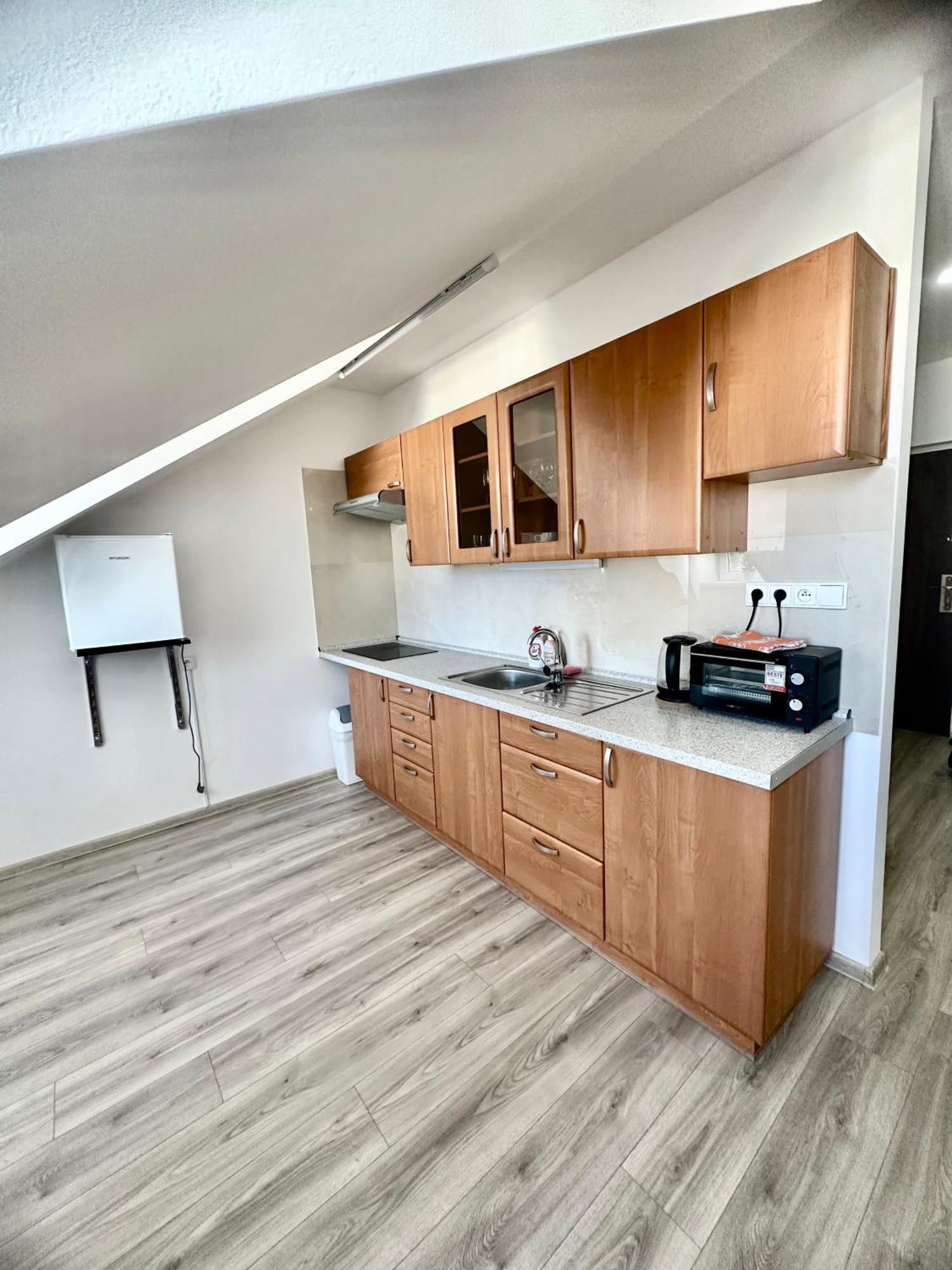 Apartment Th 카를로비바리 객실 사진